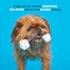 Barkbox Toy G BIV Rainbow Super Chewer Tug Toy for Aggressive Chewers with Double Reinforced Strap