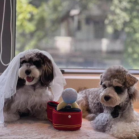 Valentines Dog Wedding Toy Engagement Plush Ring Box for Dog Birthday Gifts, Funny Plush Toys Squeaky Chew for Party