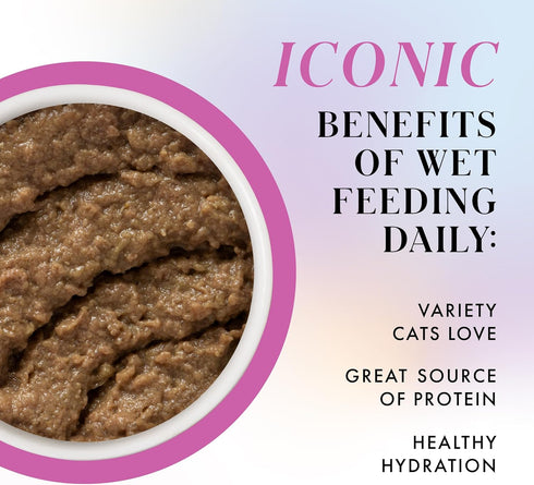 2.47oz (Pack 12) Weruva Paris Hilton Pamper Like Paris Natural Grain Free Wet Cat Food, Chicken and Beef Pat, Can