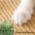 2PCS 16x12 KABASI Rabbit Scratcher Mat, Natural Bunny Chew Toys Scratching Pad for Nails Teeth Care, Small Animal Cage