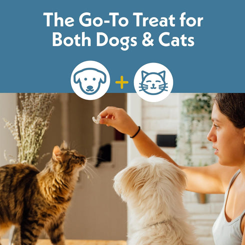 Fresh Is Best Wild Pacific Shrimp Freeze Dried Cat Treats Raw Freeze Dried Shrimp for Cats and Dogs in Resealable