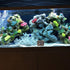 Aquarium Ornament, Resin Treasure Chest Decoration, Fish Tank Hide Castle for Underwater Landscape Decor