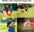 alfyng 2 Pack Pet Toys, Dog Flying Saucer Ball, Interactive Magic Ball for Outdoor Sports (Red + Blue)