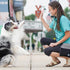 Blue-9 Inspire Dog Training Treat Pouch - Convenient Storage and Easy Access for Treats