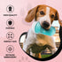Dog Diggin Designs Nouveau Haute Coffee Station Collection | Unique Squeaky Parody Plush Dog Toys – Baristas Needed!