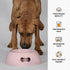 United Pets Pappy Dog Bowl for Dogs and Cats, BPA Free, Eco-Friendly, Made in Italy, Pink - 12 Oz