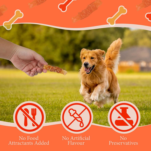 11.6 oz Annika Dog Treats Grain-Free Chicken Wrapped Sweet Potato Chews, High Protein, Human-Grade Natural Jerky