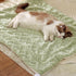 Premium Soft Dog Blanket, Washable Puppy Essentials, Calming Throw for Medium Small Dogs, Pink-M