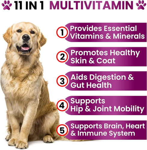 Immune Dog Multivitamin Chewable with Glucosamine - Dog Vitamins and Supplements, Senior & Puppy Multivitamin for Dogs