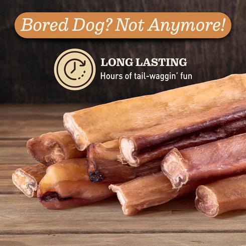 EVER FARM (6", 10 Pack) 100% Pet Odor-Free Extra Thick Jumbo Bully Sticks for Large Dogs All-Natural, Long-Lasting Dog