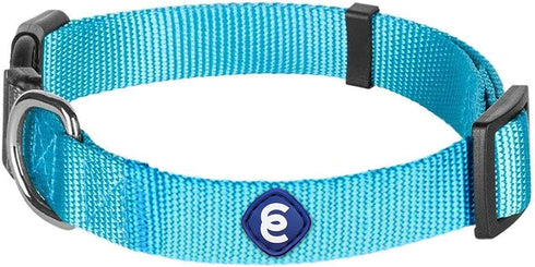 Blueberry Pet Essentials Turquoise Dog Collar, Adjustable Eco-Friendly Nylon Strap, 12-16 Inches, Small Dogs