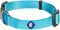 Blueberry Pet Essentials X-Small Dog Collar, Turquoise | Adjustable & Eco-Friendly Nylon Strap | Classic Collar for