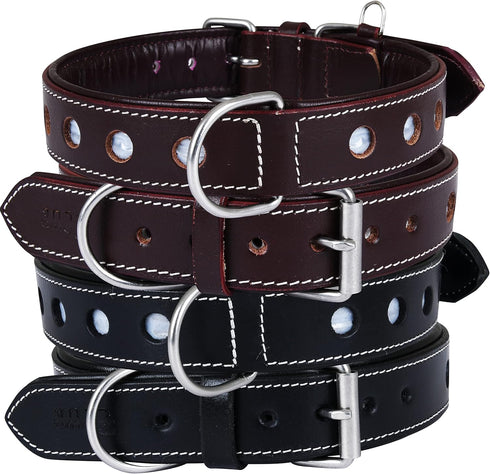 Reflective Genuine Leather Dog Collar, Stellar Series, Soft Padding, Handmade, Safe for Night Walking, XL (Fit Neck