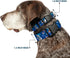 Buckle-Down Plastic Clip Collar - Frozen Olaf Poses/Snowflakes Blues - Large, 1" Wide, Fits 15-26" Neck