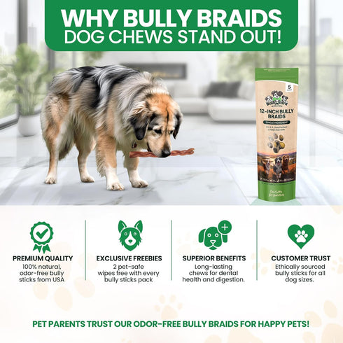 12 3 Count 100% Odor Free Braided Bully Sticks for Dogs - - Natural Grass-Fed Beef Braided Dog Chews, High Protein