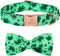 Lionheart Glory Clover Adjustable Dog Collar with Bowtie, Soft Bowtie Dog Collars for X-Small Puppy Pet Gift