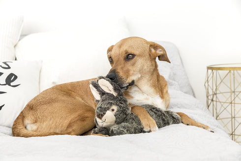 (12" Walter Wabbit Plush Toy - Fluff & Tuff Length)