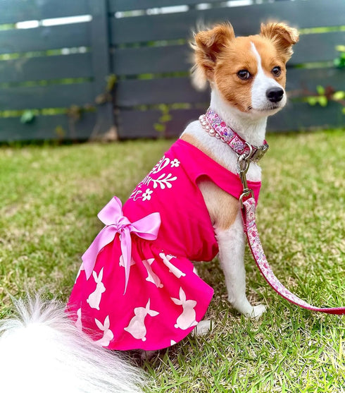 Fitwarm Eggstra Cute Dog Easter Outfit, Bunny Dog Dress, Holiday Dog Clothes for Small Dogs Gril, Pet Cat Clothing, Hot Pink, Small