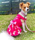 Fitwarm Eggstra Cute Dog Easter Outfit, Bunny Dog Dress, Holiday Dog Clothes for Small Dogs Gril, Pet Cat Clothing, Hot Pink, Small