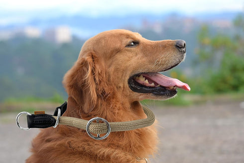 Braided Pro Training Dog Collar, No Pull Round Slip Collar with Slidable Stop Ring for Medium/Large Dogs (M+(1/2") -