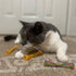 SPOT Kitty Fun Tubes Cat Toy | Interactive Bouncy Toy with Catnip for Cats and Kittens | 3 Pieces