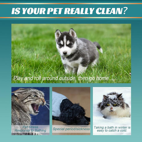 Pet Rinse Free Grooming Gloves, 10Pcs Wash Free Wipes for Dogs & Cats, Cleansing Grooming with Plant Extract