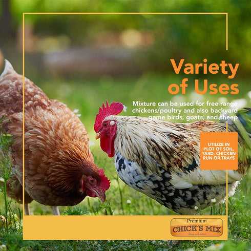 Barenbrug Premium Free Range Chicks Mix Forage Seed Mixture I 1 lb, One Pack