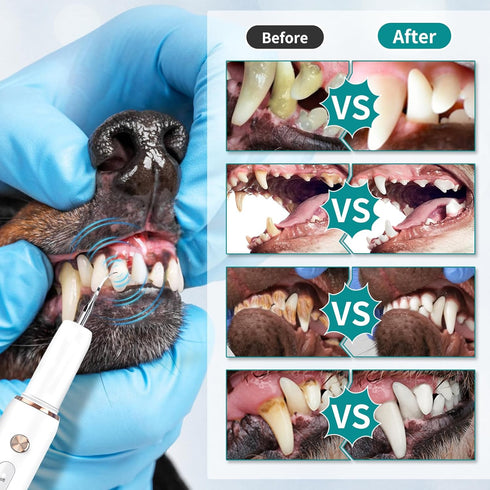 5 IPX6 3 Dog Plaque Tartar Remover, Electric Toothbrush Teeth Cleaner Dental Care Kit for Dogs Cats- Modes LED