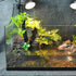 PINVNBY Basking Platform for Turtles, Resin Resting Rock with 2 Pcs Suction Cups for Frogs and Newts