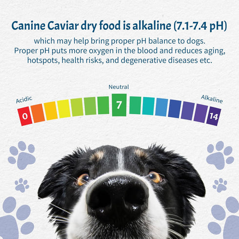 Canine Caviar - Wild Ocean: Herring & Quinoa Alkaline Dry Dog Food, Limited Ingredients, Gluten-Free, 4.4 Pound Bag