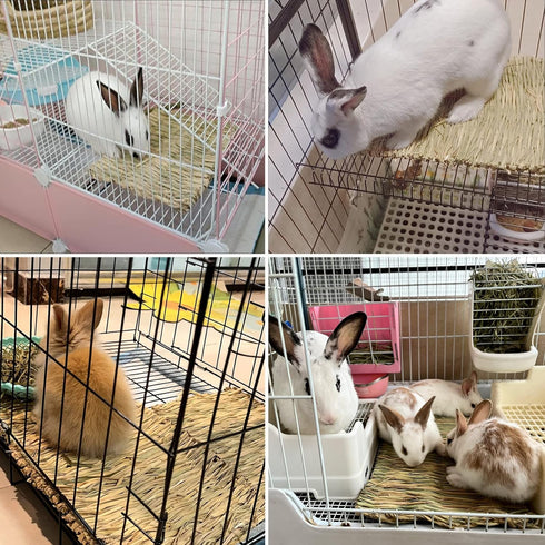 20 Chinchilla Tfwadmx Pcs Bunny Grass Mat Rabbit Natural Straw Woven Bed Small Animal Cages Sleeping Hay Mats Nest Play