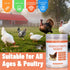 Lazersell Immunity, 8.8 OZ Chicken Electrolyte for Water, Ideal for Hydration, Digestive Health, Chicken Vitamins