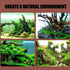 Hamiledyi Natural Coral Driftwood Decoration for Aquarium, Reptiles, Bendable Jungle Climbing Vines, Bearded Dragon,