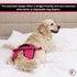FINNERO Ballerina Dog Diaper Washable, Reusable, Leak-Proof Heat, Period & Urine Incontinence Protection Comfortable