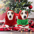 HYLYUN Puppy Christmas Outfit 2 Packs, Small Dog Santa Claus Suit Hoodies for Small Dogs and Cats