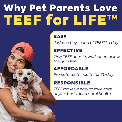 Packets Protektin42 1 Packet 30 TEEF FOR LIFE Refill Prebiotic Dental Powder for Dogs, Plant-derived, clinically-Proven