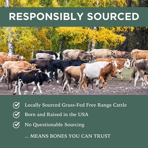 K9 Connoisseur Dog Bones Made in USA: All Natural Meaty Beef Chew Treat for Small Breed Dogs (3 Pk of 5 Ribblets)