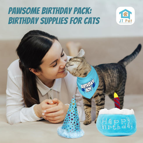 Cat Birthday Boy Party Pack, Bandana, Star Spangled Blue Party Hat, Catnip Birthday Cake Toy