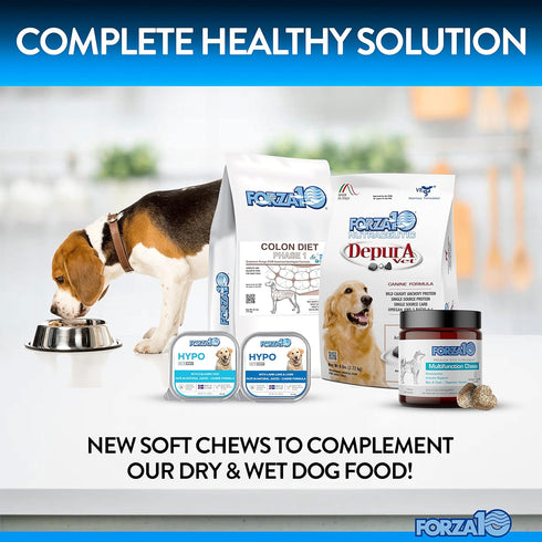 Forza10 Dog Vitamins Supplements, Peanut Butter Flavor Multivitamin Chews for Small to Large Breeds, 90 Ct.