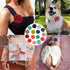 Dog Collar with 55 Pieces Multi Color Floral Charms, Flower Bow Ties for Puppy Dogs and Cats