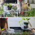 BEVINKATE Rimless 2 Aquarium Plant Holder for Fish Tank Pcs Corner Shelf for Fish Tank Top, Aquatic Plant Planter