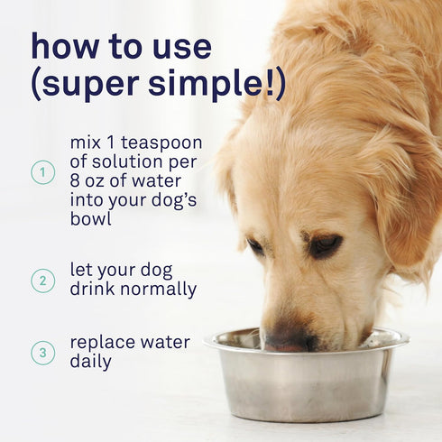 16 oz. Petpost | Dental Solution for Dogs - Water Additive that Eliminates Bad Breath - Dirt, Gunk, and Tooth Buildup