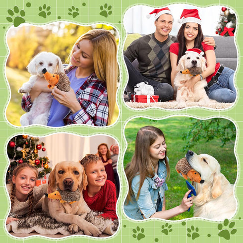 Funtery 4 Pcs Hedgehog Squeaky Dog Toy, Soft Animal Plush Hedgehog Chew Toy for Aggressive Chewers, 7.87 Inches
