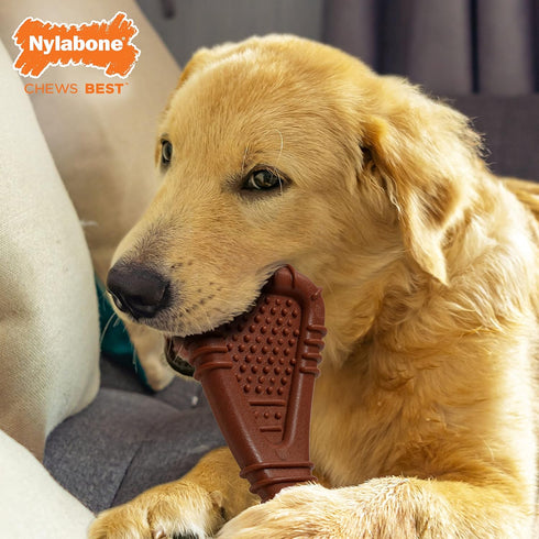 Nylabone Arch Bone Dental Power Chew Toy for Dogs - Dog Toys for Aggressive Chewers, Large (Up to 50 lbs), 1 Count