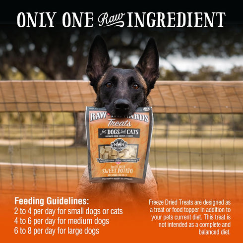Northwest Naturals Raw Rewards Freeze-Dried Sweet Potato Treats for Dogs and Cats, 2 Oz