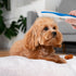 Dog Comb for Tangles and Knots, Cat Comb with Stainless Steel Teeth, Non-Slip Handle for Long Haired Pets (Style 1)