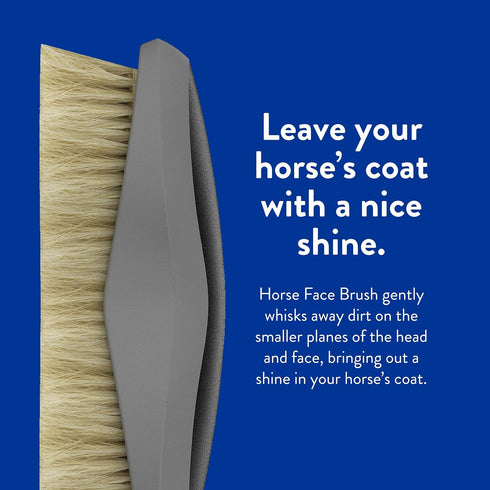 WAHL Professional Animal Equine Grooming Face Horse Brush, Black