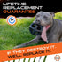 K9 5.5 Monster Ultra Durable Dog Ball - Lifetime Guaranteed - Tough, Heavy Duty Dog Toy for Aggressive Chewers - Safe