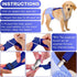 2 Saintrygo Pcs Dog Suspenders for Diapers Female Male Belly Bands Canine Harness Keep Diaper on Your Pet for Small