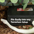 Pangea Reptile Hide Box (C- Medium) in Black
